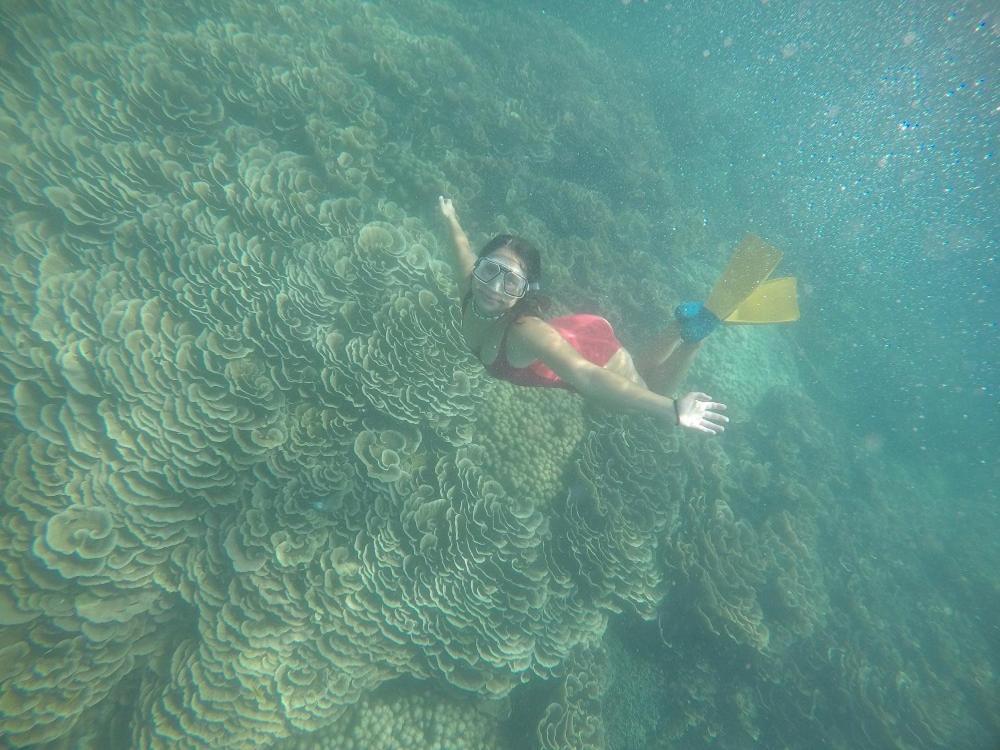 Chuiba Bay lodge Đảo Đảo Pemba Ngoại thất bức ảnh